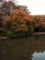 B-Herbststimmung 058.jpg